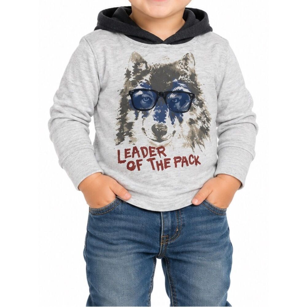 🔥 5 for $30 🔥 GAP Boys “Leader of the Pack” Hooded Long Sleeve Shirt | 12-18M